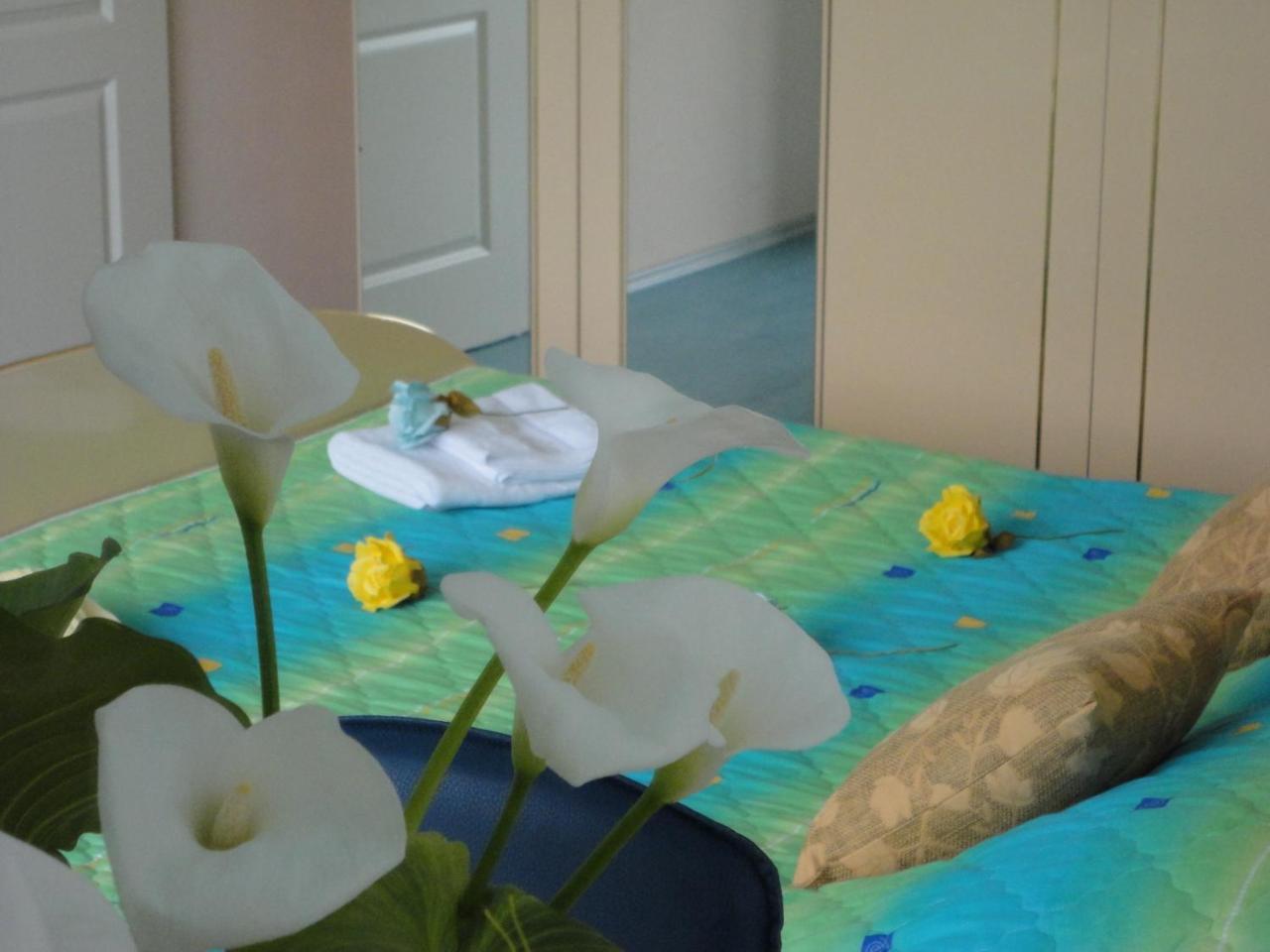 Accommodation J&T Ohrid Buitenkant foto